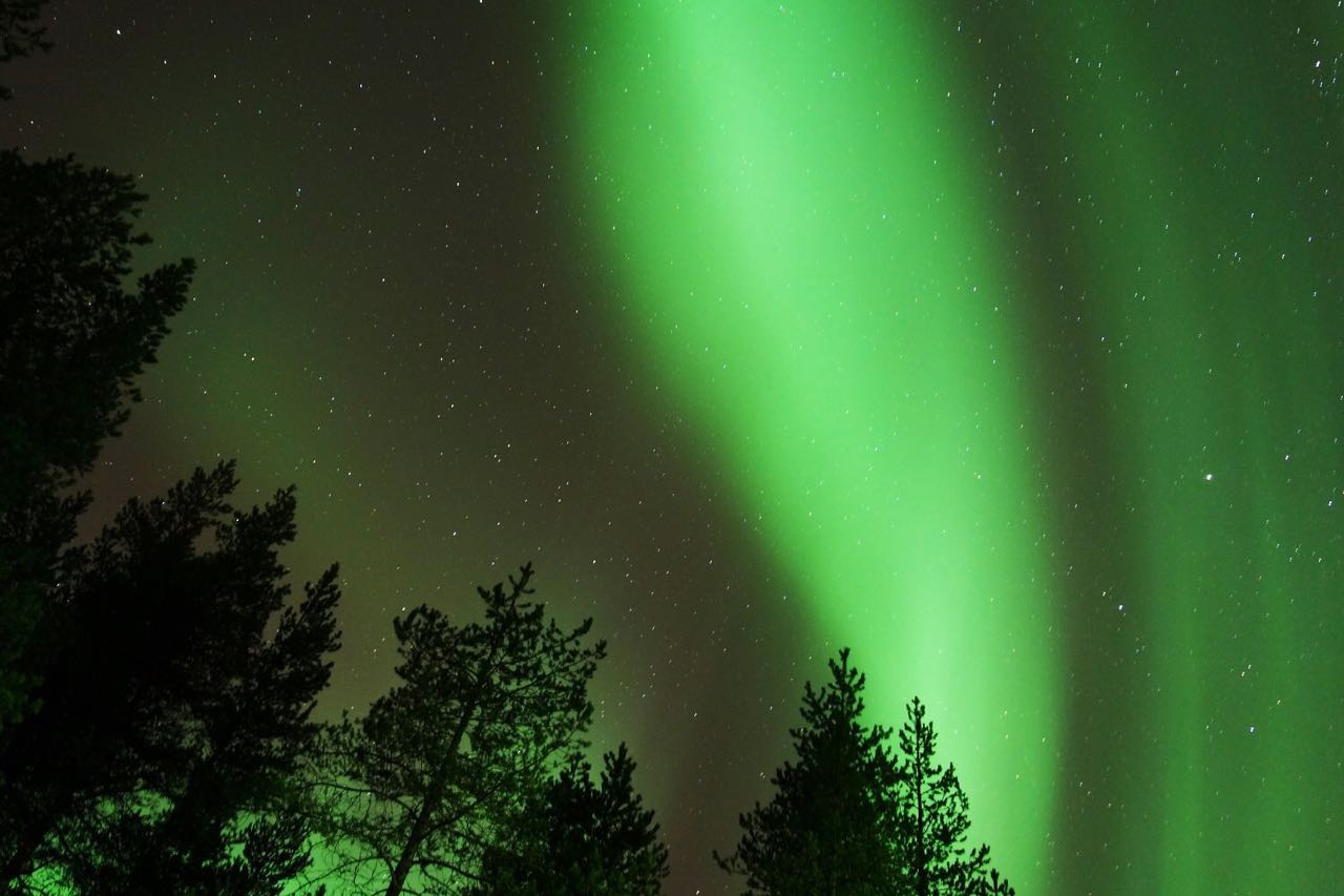 Machu Picchu muncul dari kabut pagi, seolah bangkit perlahan dari lipatan waktu.